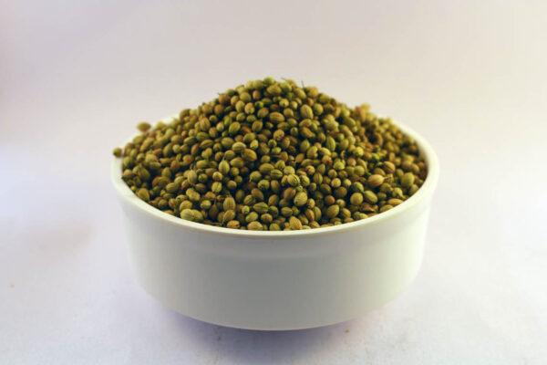 Dhania/Coriander Seeds