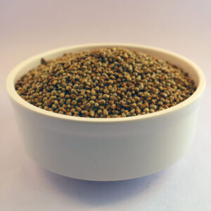 Bajra/Pearl Millet