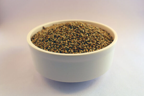 Bajra/Pearl Millet