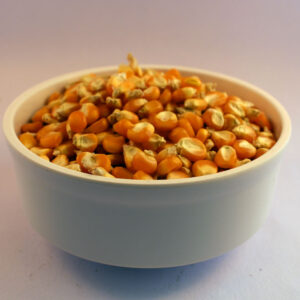 Maize