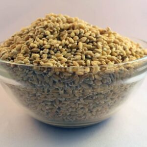 Wheat (Lokwan)