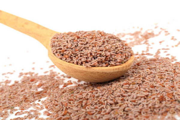 Psyllium Husk
