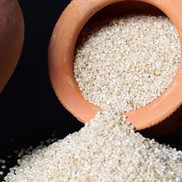 Little Millet