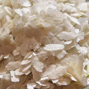 Organic Processed Food Products